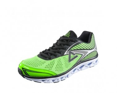 Chaussure de course E53053H peak sport