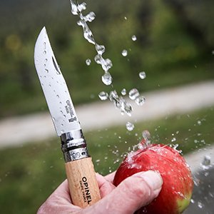 Opinel Couteau Lame Inox 10 Cm -N°10!