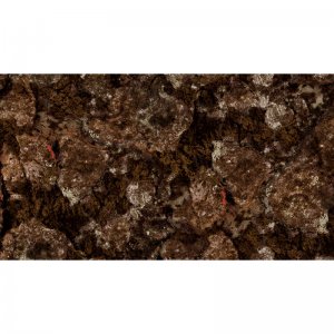 CHAUSSONS ROCKSEA BEUCHAT